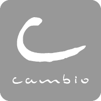 Cambio Logo