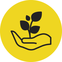 grafisches Symbolbild mit Hand, die eine Pflanze hält
